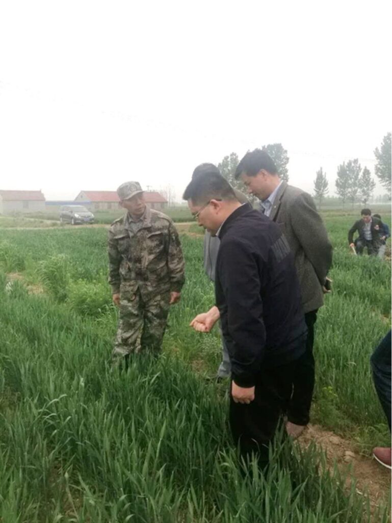 A group of men in a field

Description automatically generated with low confidence