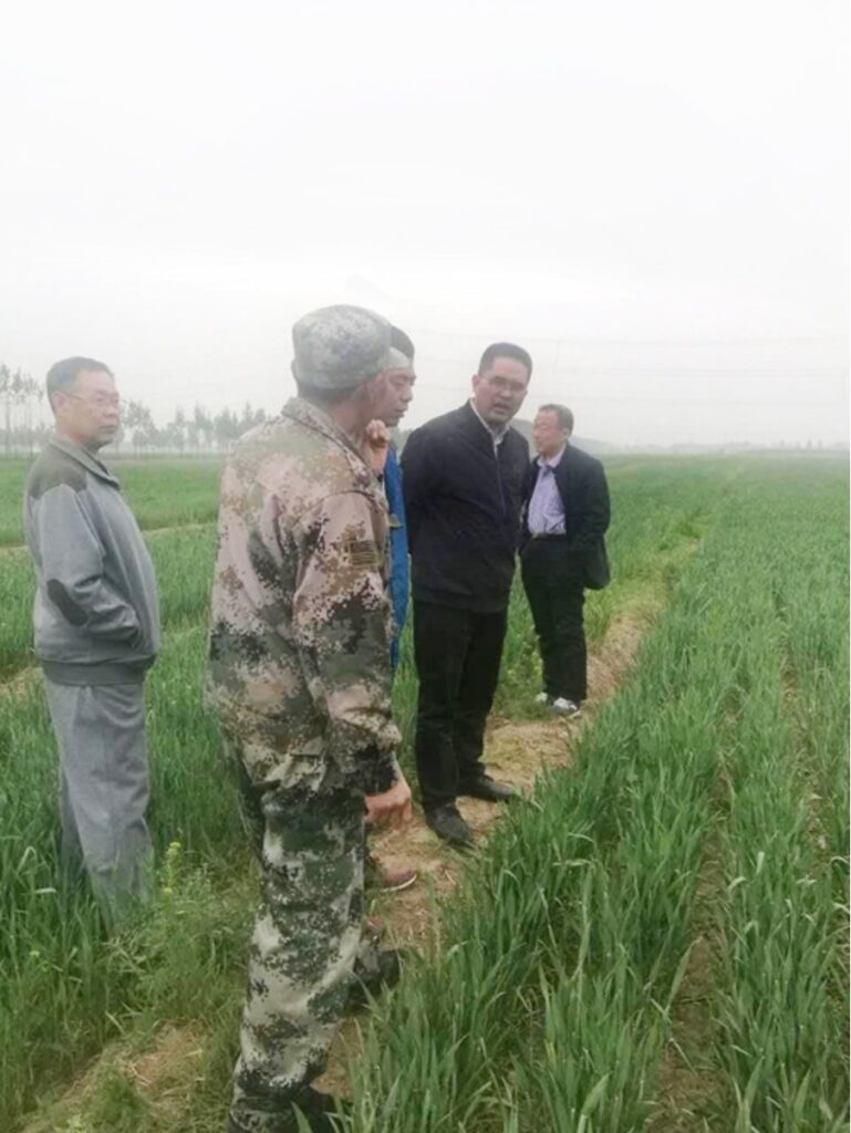 A group of men standing in a field of grass

Description automatically generated with low confidence