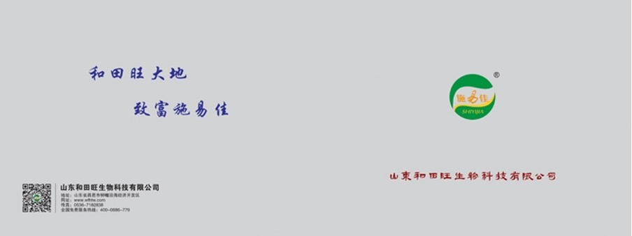 Graphical user interface, text

Description automatically generated with medium confidence