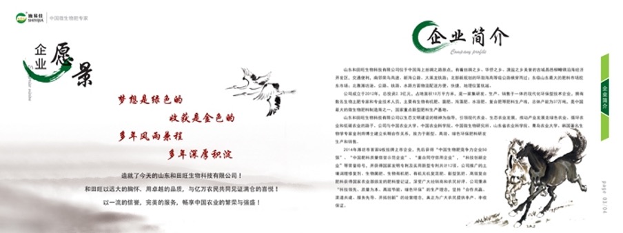 Text

Description automatically generated