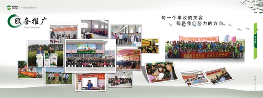 A picture containing text

Description automatically generated